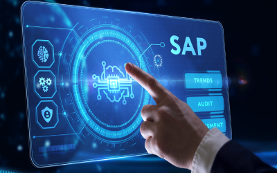 Challenges in SAP Data Auditing